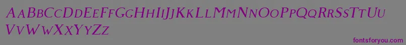 Giveny Italic Font – Purple Fonts on Gray Background