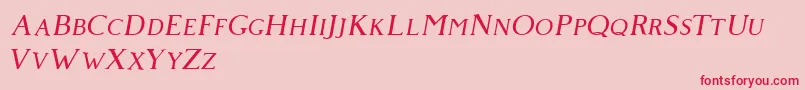 Giveny Italic Font – Red Fonts on Pink Background