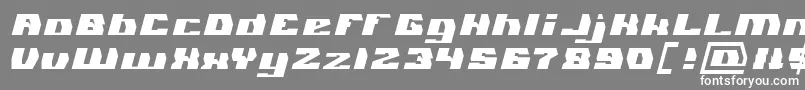 GLADIATOR SPORT Light Font – White Fonts on Gray Background