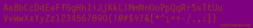 Шрифт LetterGothic12PitchBt – коричневые шрифты на фиолетовом фоне