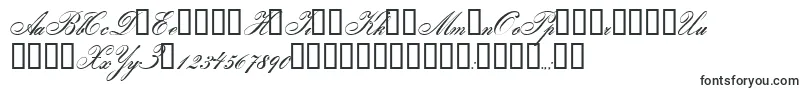 Gloria Font – Fonts for Adobe Illustrator
