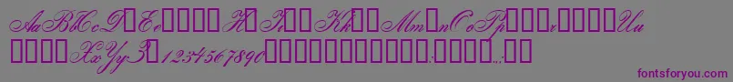 Gloria Font – Purple Fonts on Gray Background