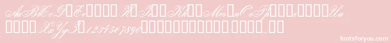 Gloria Font – White Fonts on Pink Background