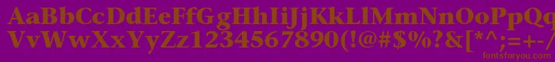 SonetserifBold Font – Brown Fonts on Purple Background