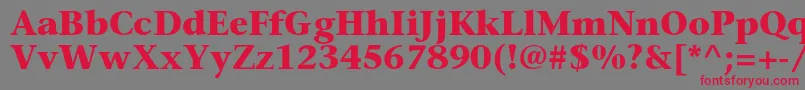 SonetserifBold Font – Red Fonts on Gray Background