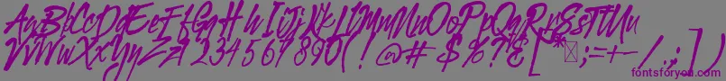 Gloucester BrushScriptDEMO Font – Purple Fonts on Gray Background