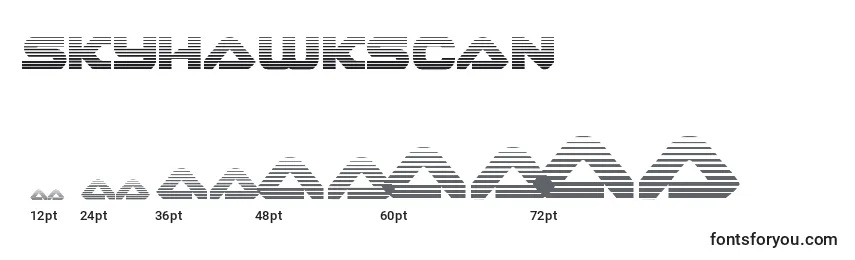 Skyhawkscan Font Sizes