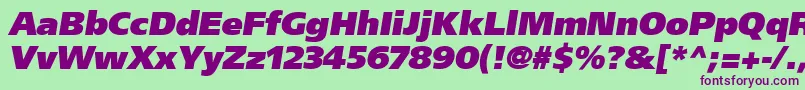 AgForeignerulbObliqueMedium Font – Purple Fonts on Green Background