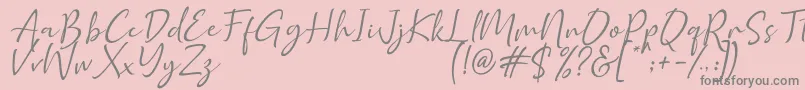 Police Golden Class Script – polices grises sur fond rose