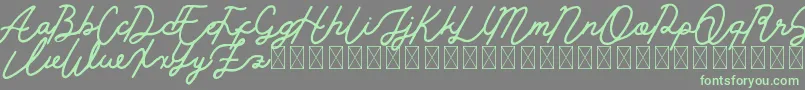 Golden Slayer Font – Green Fonts on Gray Background