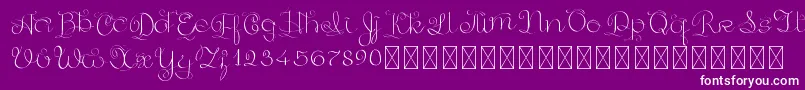 GoldenAge PersonalUse Font – White Fonts on Purple Background