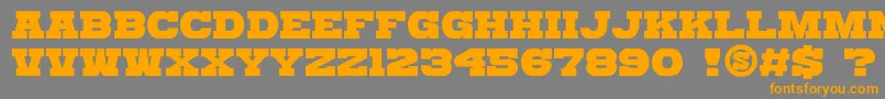 gomarice katamari serif Font – Orange Fonts on Gray Background