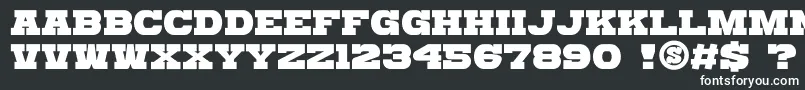 フォントgomarice katamari serif – 白い文字