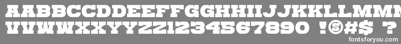 gomarice katamari serif Font – White Fonts on Gray Background
