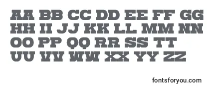 Przegląd czcionki Gomarice katamari serif