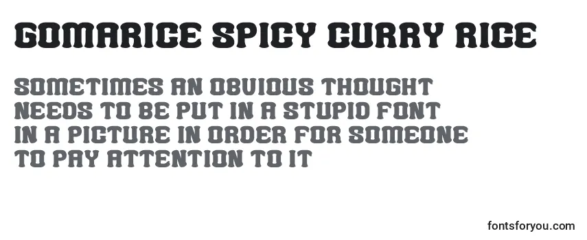 Gomarice spicy curry rice -fontin tarkastelu