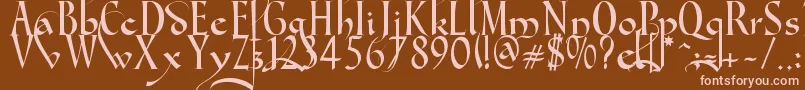 Gondola SD   Swash Font – Pink Fonts on Brown Background