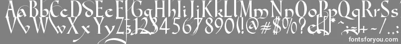 Gondola SD   Swash Font – White Fonts on Gray Background