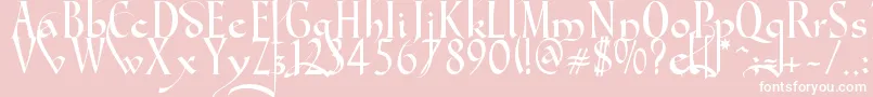 Gondola SD   Swash Font – White Fonts on Pink Background