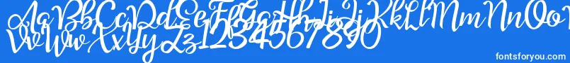 Шрифт Good Feeling Script Demo – белые шрифты на синем фоне