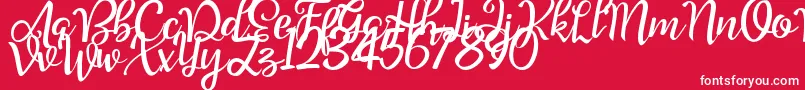 fuente Good Feeling Script Demo – Fuentes Blancas Sobre Fondo Rojo