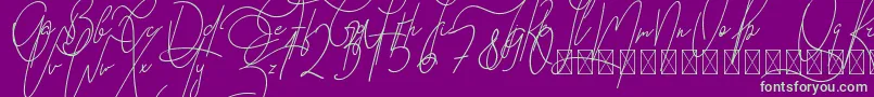 GoodWish Italic PersonalUse Font – Green Fonts on Purple Background