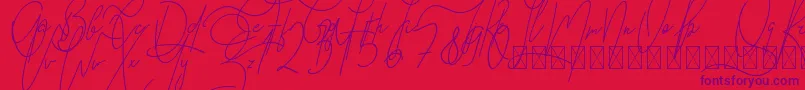 GoodWish Italic PersonalUse Font – Purple Fonts on Red Background