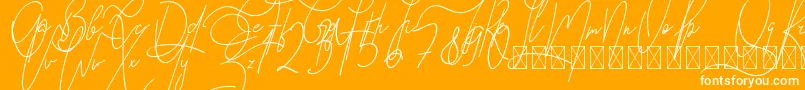 GoodWish Italic PersonalUse-Schriftart – Weiße Schriften auf orangefarbenem Hintergrund