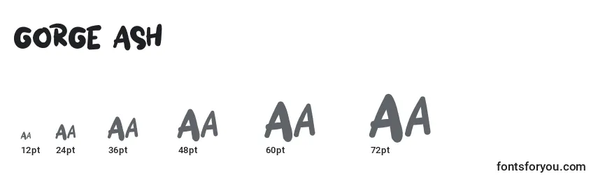 GORGE  ASH Font Sizes