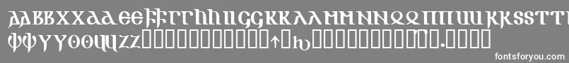 GOTIKAOE Font – White Fonts on Gray Background