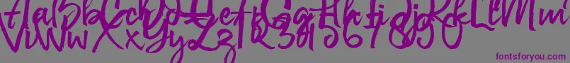 フォントGovani Emir – 紫色のフォント、灰色の背景