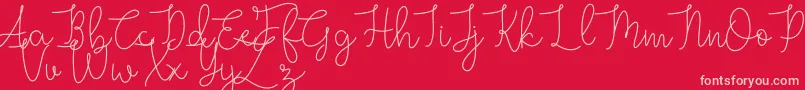 fuente Grace – Fuentes Rosadas Sobre Fondo Rojo