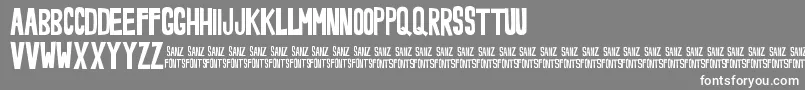 NoveeyBold Font – White Fonts on Gray Background