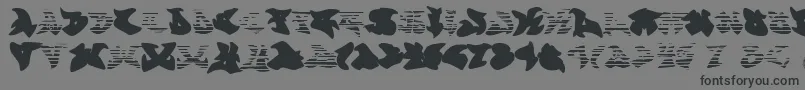 Czcionka graffonti gradient fill fontvir us – czarne czcionki na szarym tle