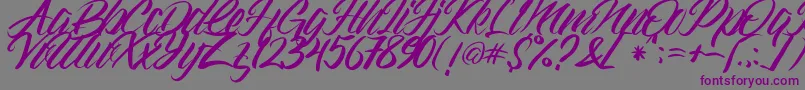 Czcionka Gramattica – fioletowe czcionki na szarym tle