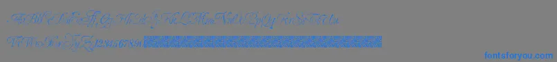 GrandZeroes Font – Blue Fonts on Gray Background