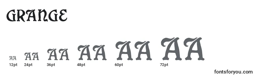 Размеры шрифта Grange (128397)