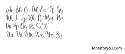 Review of the Granotta Regular Font