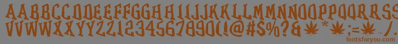 GRASS Font – Brown Fonts on Gray Background