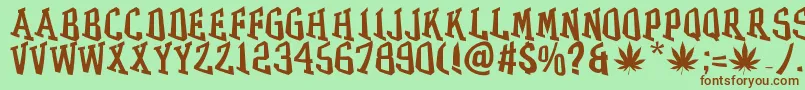 Шрифт GRASS – коричневые шрифты на зелёном фоне
