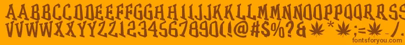 Fonte GRASS – fontes marrons em um fundo laranja