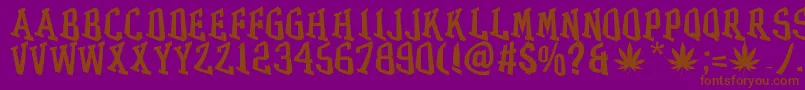 フォントGRASS – 紫色の背景に茶色のフォント