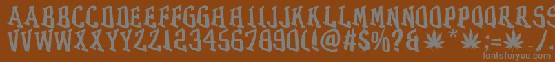 フォントGRASS – 茶色の背景に灰色の文字
