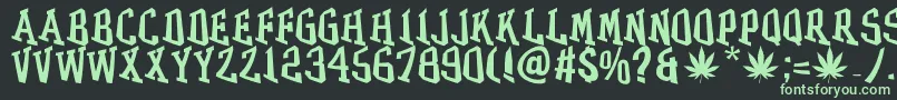 GRASSフォントについての詳細 フォントGRASS – 黒い背景に緑の文字