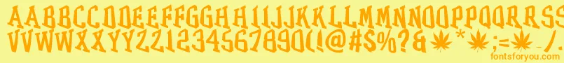GRASS Font – Orange Fonts on Yellow Background