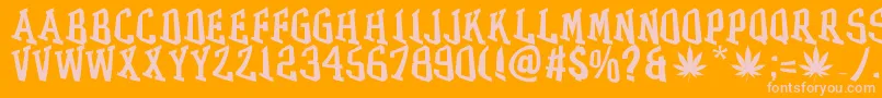 GRASS-Schriftart – Rosa Schriften auf orangefarbenem Hintergrund