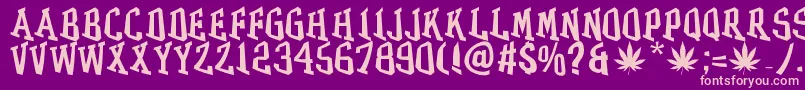 GRASS Font – Pink Fonts on Purple Background