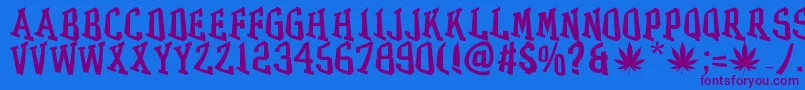 GRASS Font – Purple Fonts on Blue Background