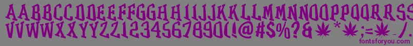 GRASS Font – Purple Fonts on Gray Background