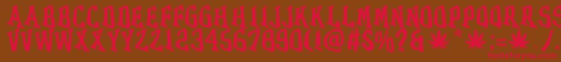 GRASS Font – Red Fonts on Brown Background